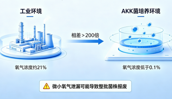 押注AKK菌：新赛道加速，品牌方如何跨越“配方落地”的量产鸿