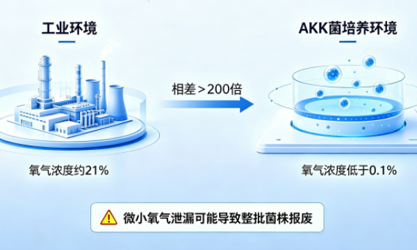 押注AKK菌：新赛道加速，品牌方如何跨越“配方落地”的量产鸿